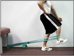 Figure 2-2. Final holding position for Exercise #1 using two bands.